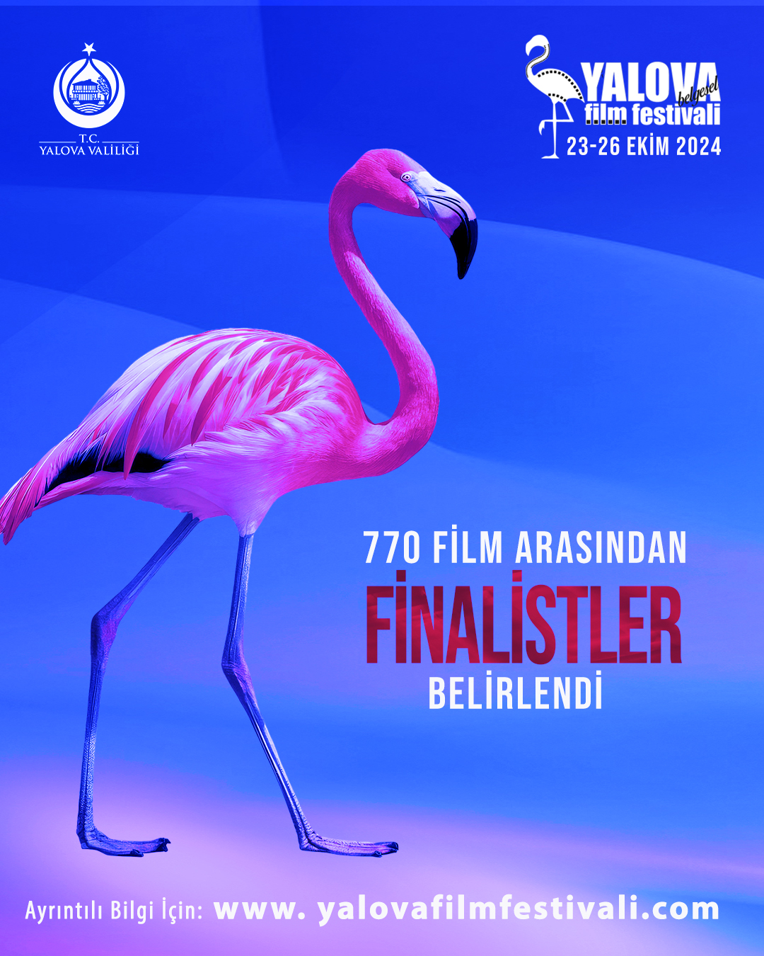 Yalova Belgesel Film Fest 2024 Finalistleri Belli Oldu