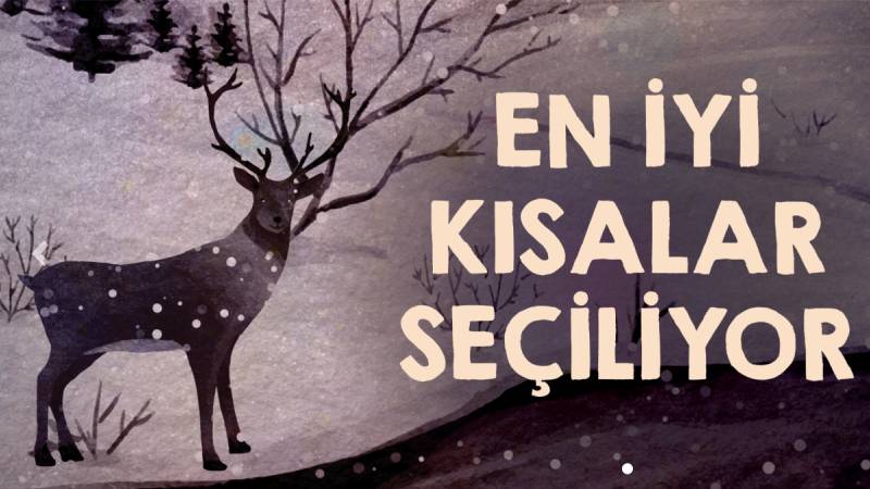 Hisar Kısa Film Seçkisi’ne Başvurular Devam Ediyor