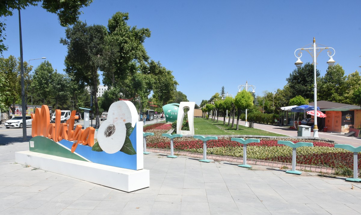 27. Uluslararası Kayısı Festivali'nin eğlence içerikleri iptal edildi